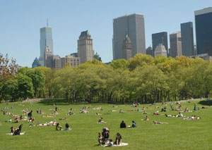 Sheep Meadow, Central Park