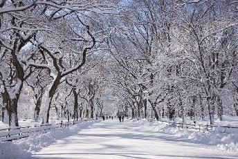 Winter Scene in the Park