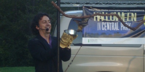 Rob Mies Bats Alive!